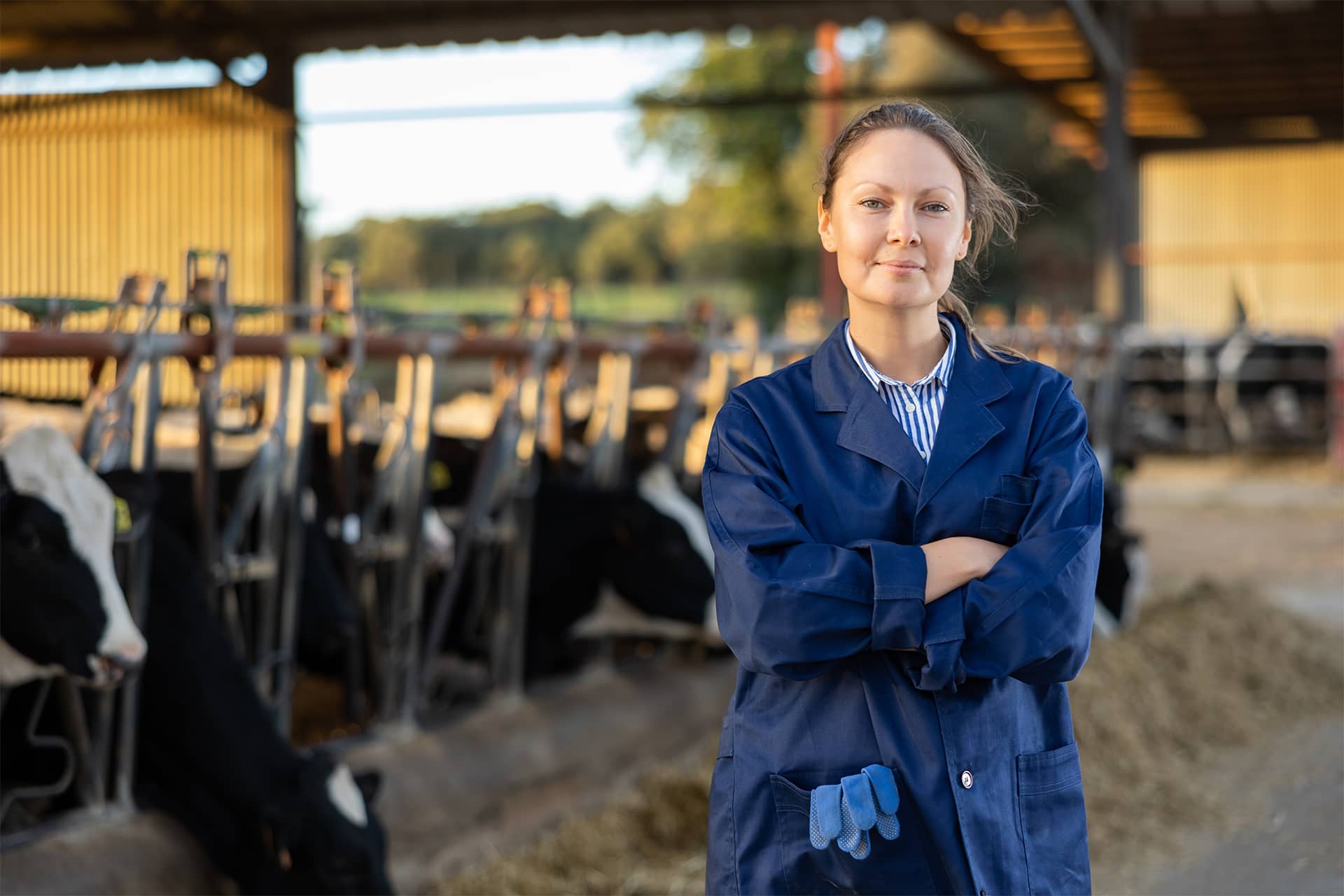 Expanding opportunity for regional Australia